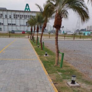 Untitled design (17)