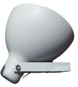 NY100-removebg-preview (1)