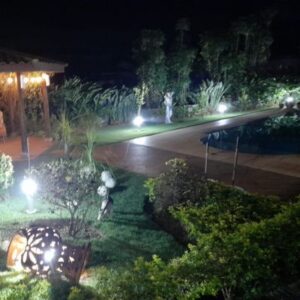 Untitled design (10)