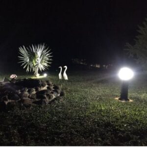 Untitled design (11)