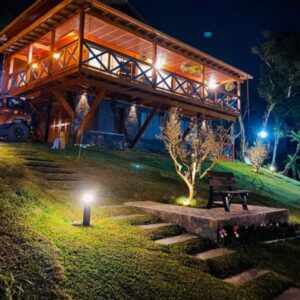 Untitled design (12)